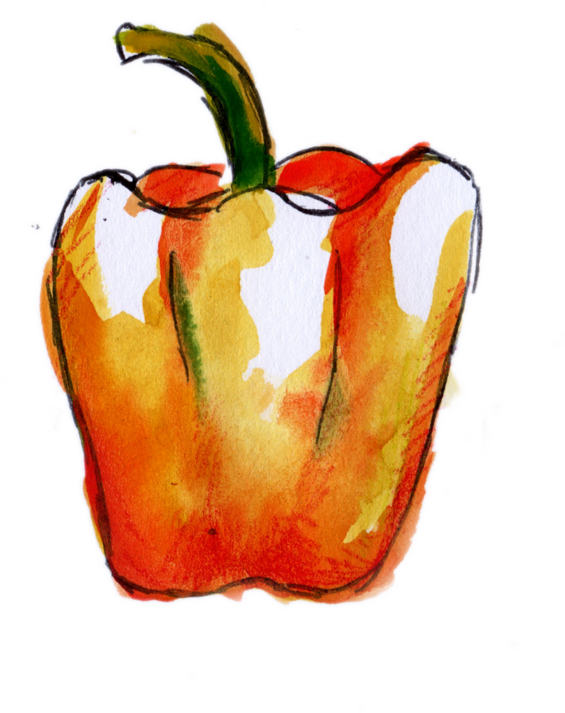 Yellow pepper Watercolour